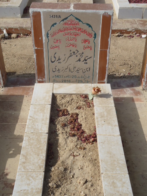 13431 – Syed Muhammad Jaffar Zaidi