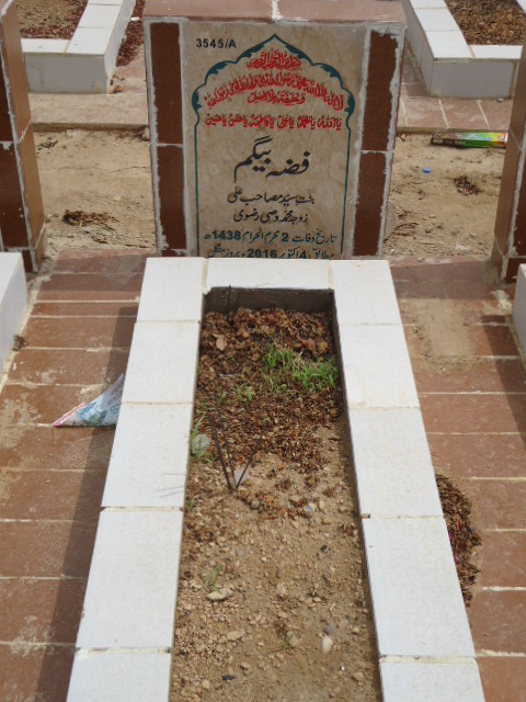 13545 – Fiza Begum