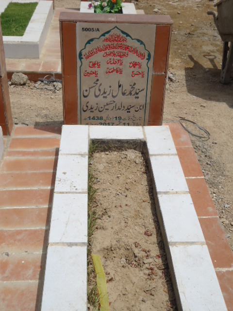 15005 – Syed Muhammad Amil Zaidi