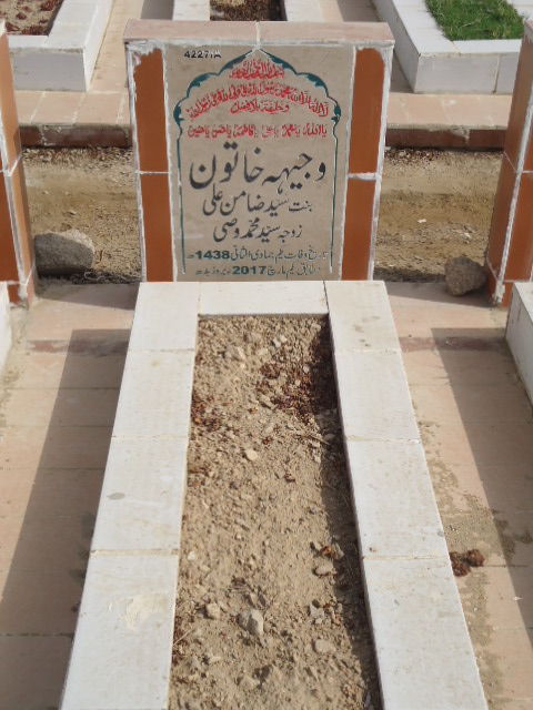 14227 – Wajiha Khatoon