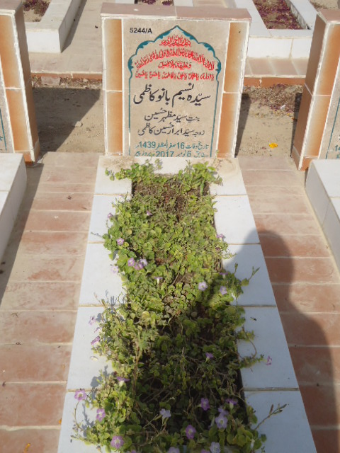 15244 – Syeda  Naseem Bano Kazmi