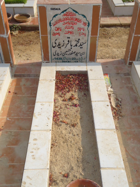 15854 – Syed Muhammad Baqar Zaidi