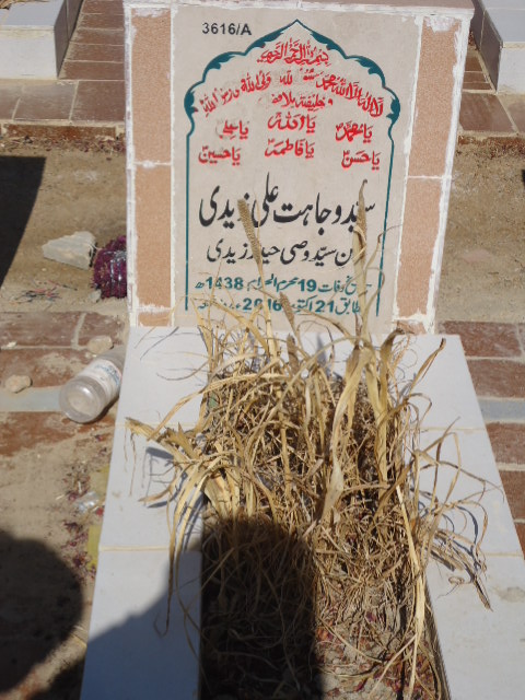 13616 – Syed Wajahat Ali Zaidi
