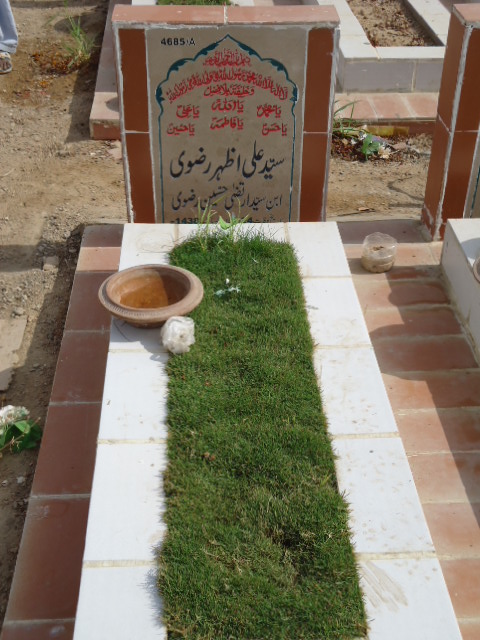 14685 – Syed Ali Azhar Rizvi
