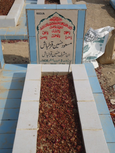 11603 – Masood Hussain Qazalbash