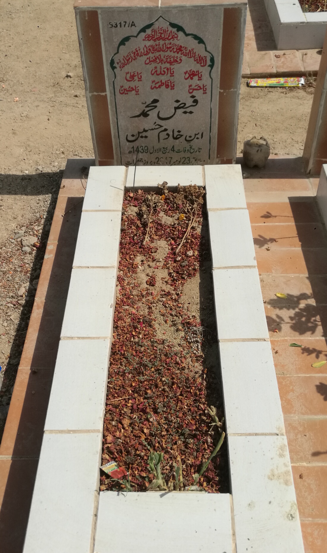 15317 – Faiz Muhammad