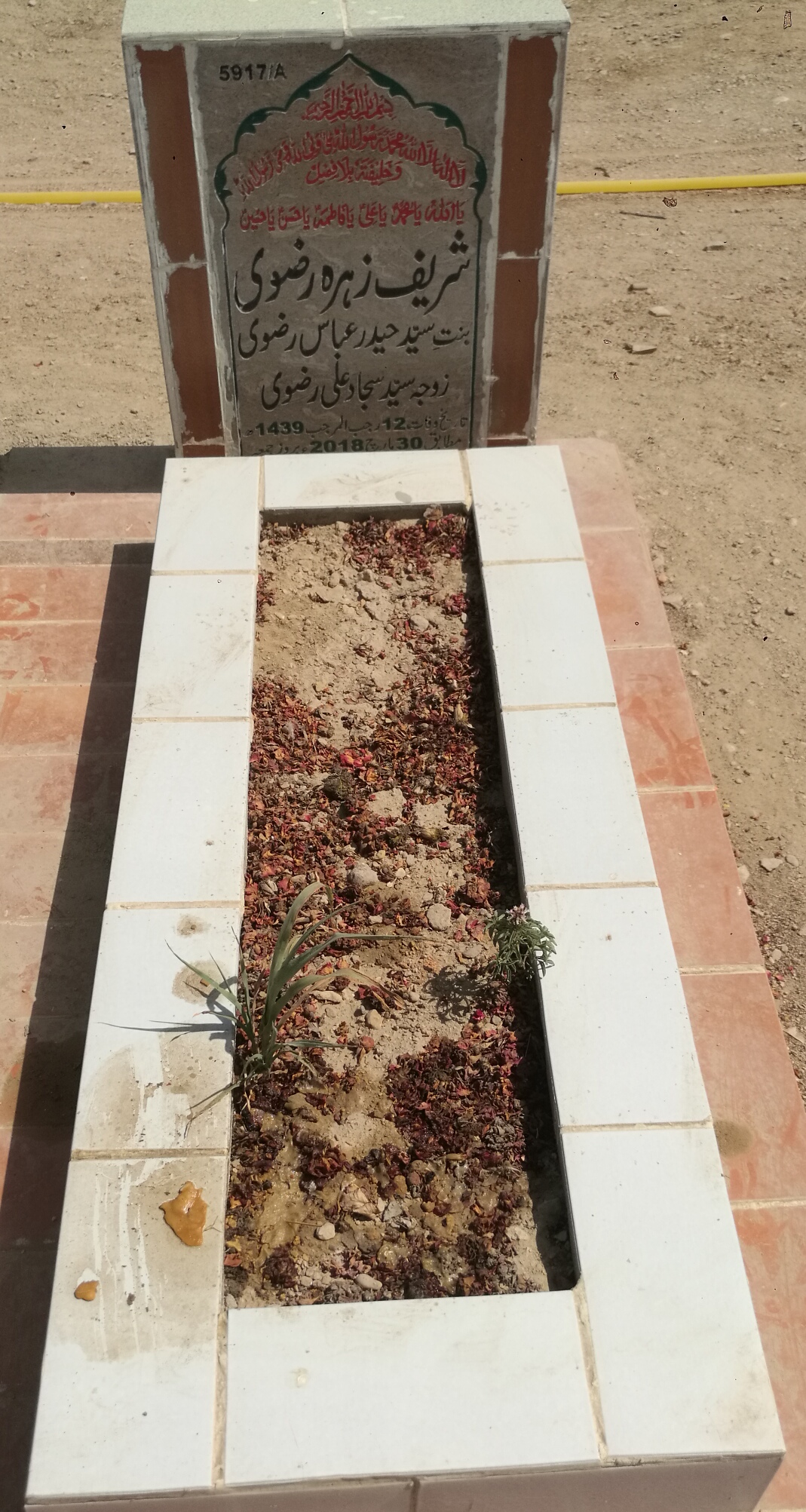 15917 – Shareef Zehra Rizvi