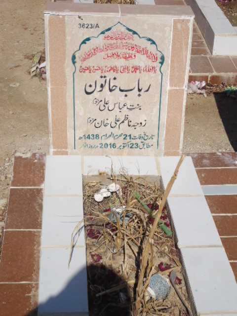 13623 – Rubab Khatoon