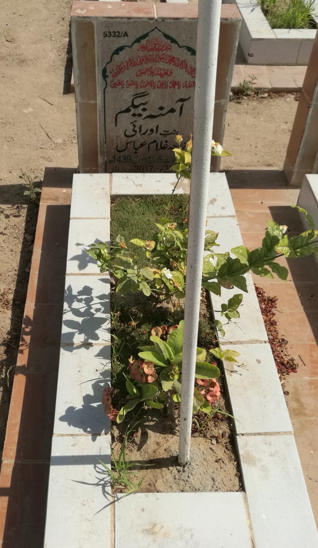 15332 – Amnaa Begum