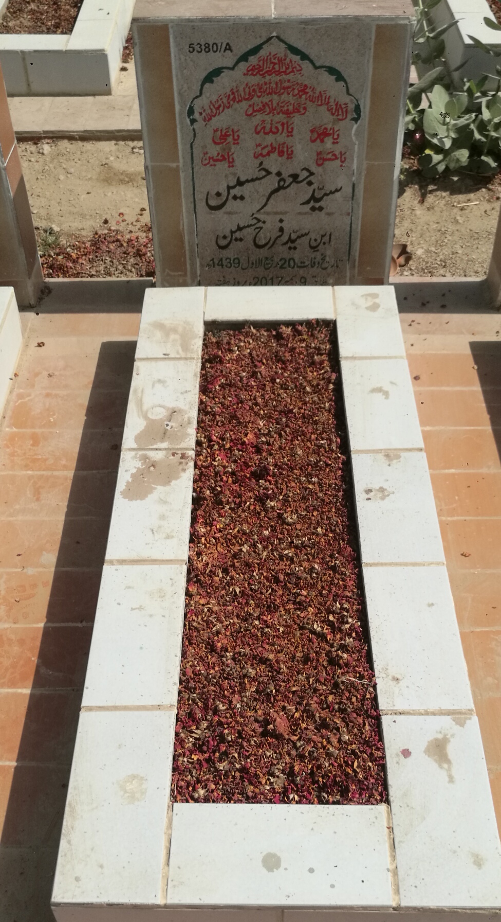 15380 – Syed Jaffar Hussain