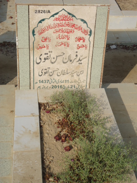 12826 – Syed Farman Hassan Taqvi