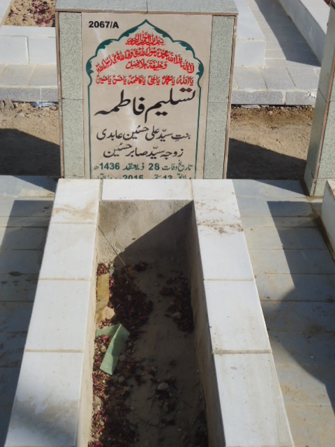 12067 – Tasleem Fatima