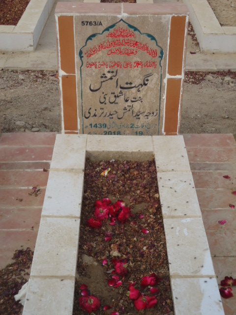 15763 – Nighat Altemash