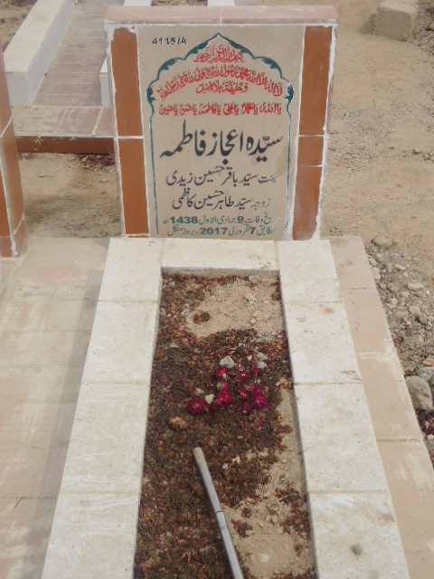 14115 – Syeda Ijaz Fatima