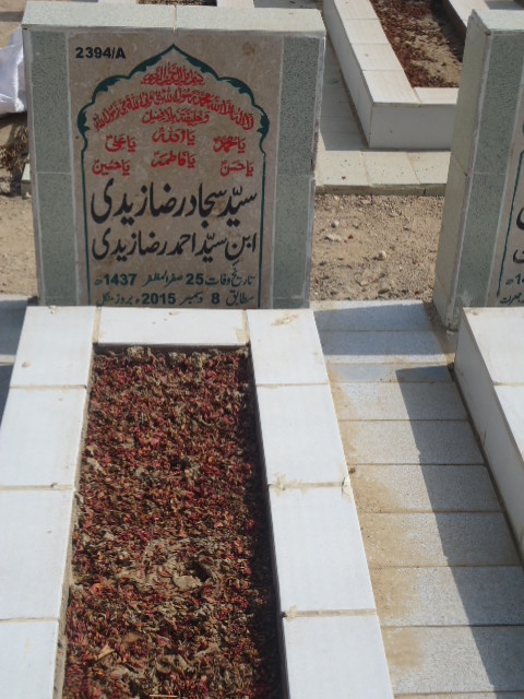 12394 – Syed Sajjad Raza Zaidi