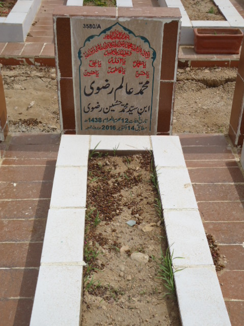 13580 – Syed Alam Rizvi