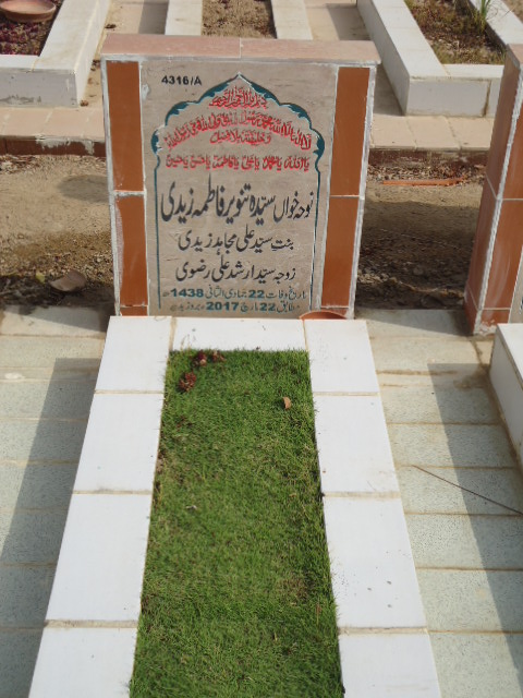 14316 – Syeda Tanveer Fatima Zaidi