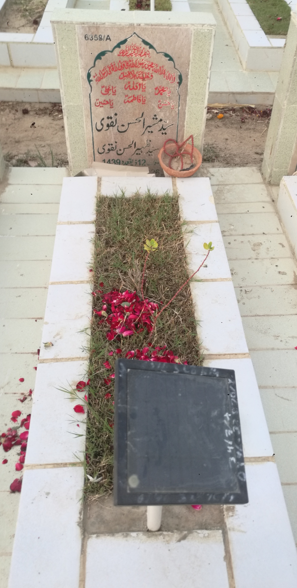 16358 – Syed Musheer Ul Hassan Naqvi