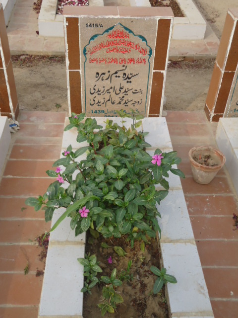 15415 – Syeda Naseem Zehra