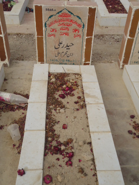 15545 – Haider Ali