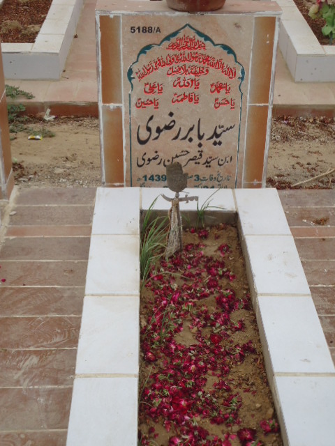 15188 – Syed Babar Rizvi
