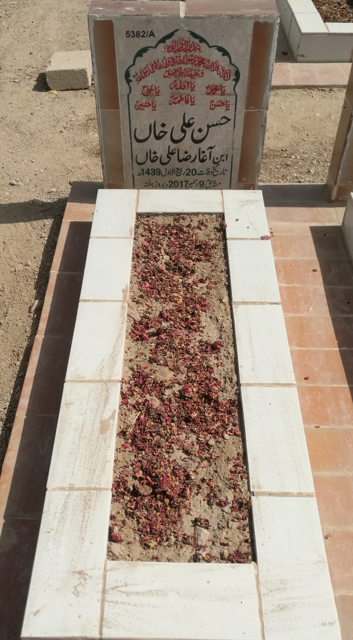 15382 – Hassan Ali Khan