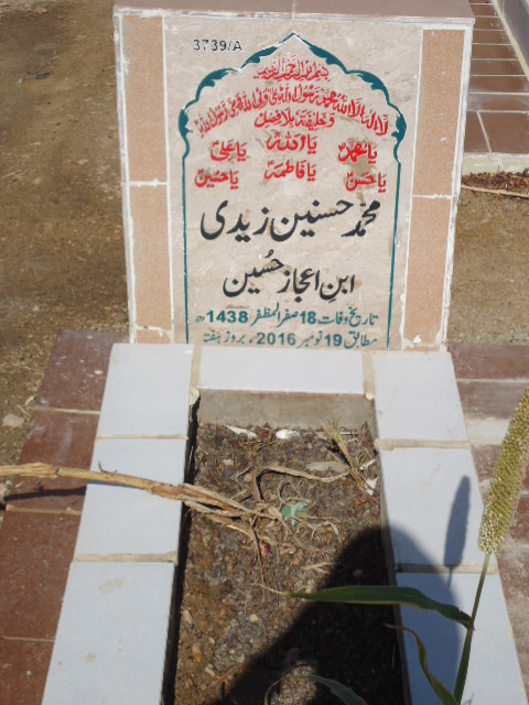 13739 – Muhammad Hasnain Zaidi