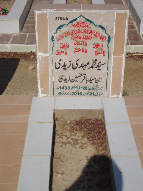 13751 – Syed Muhammad Mehdi Zaidi