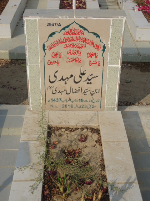 12947 – Syed Ali Mehdi