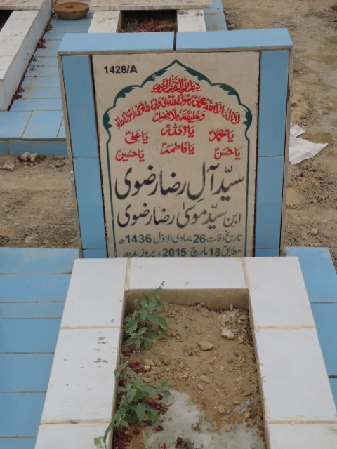 11428 – Syed Alay Raza Rizvi