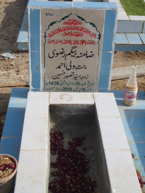 11464 – Zamina Begum Rizvi