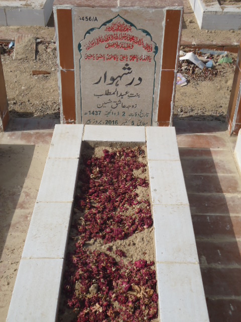 13456 – Dur A Shewar