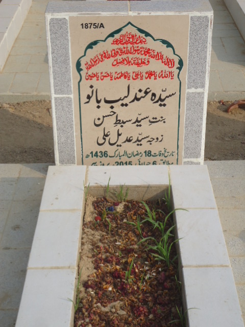 11875 – Syeda Andeleeb Bano