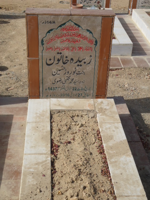 13314 – Zubaida Khatoon
