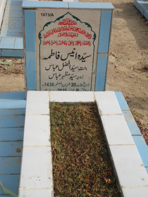 11673 – Syeda Anees Fatima