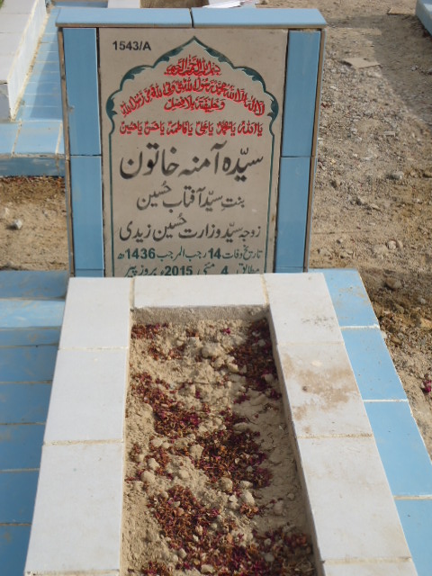 11543 – Syeda Amna Khatoon