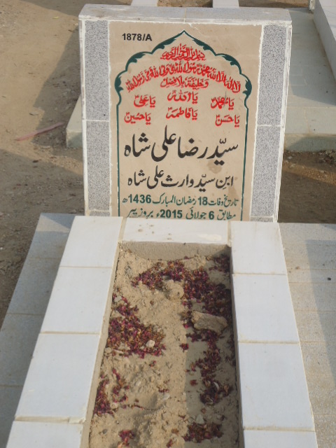 11878 – Syed Raza Ali Shah