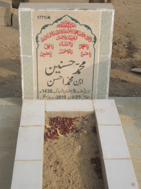 11771 – Muhammad Hasnain