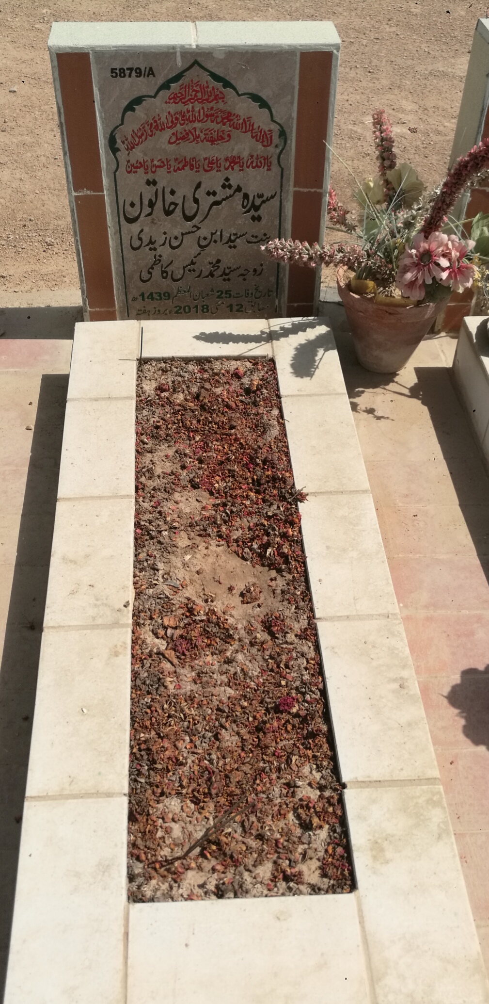 15879 – Syeda Mushtari Khatoon