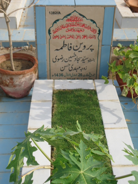 11382 – Parveen Fatima