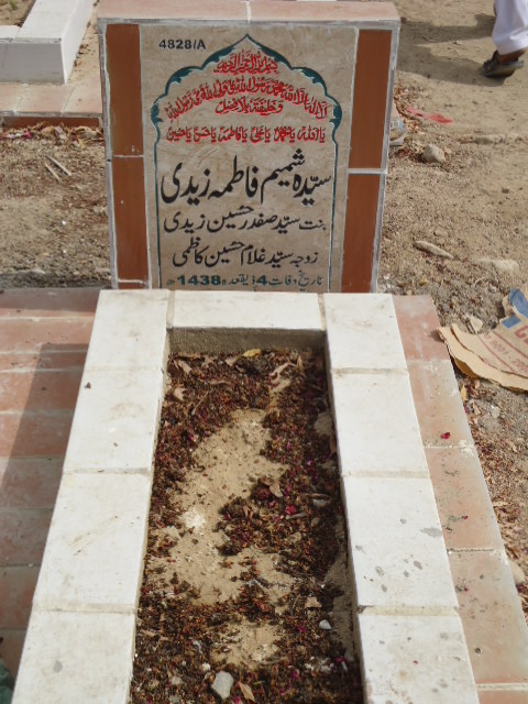 14828 – Syeda Shamim Fatima Zaidi