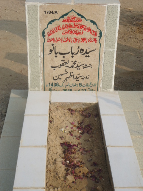 11784 – Syeda Rubab Bano