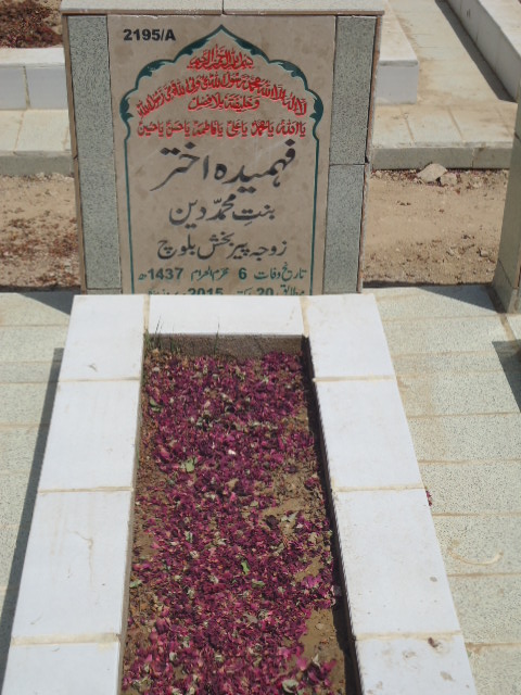 12195 – Fahmeeda Ahktar