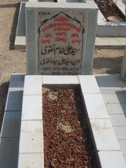 12399 – Syed Ali Imam Naqvi