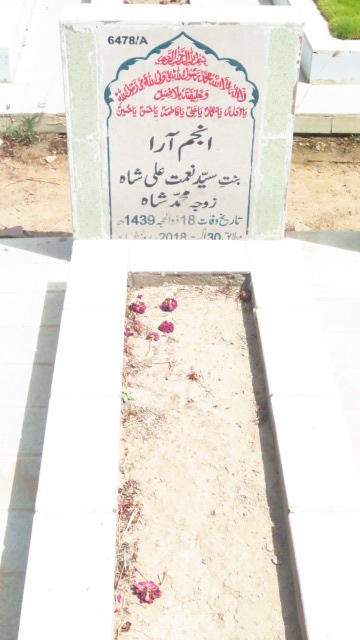 16478 – Anjum Arra