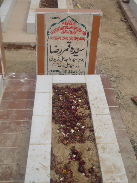 14028 – Syeda Qamar Raza