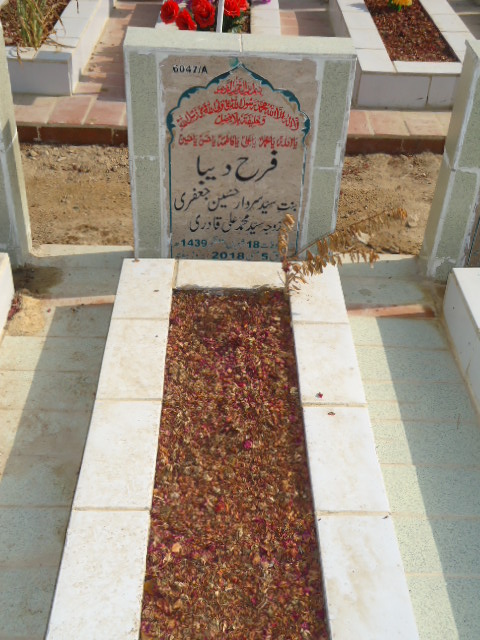 16047 – Farah Deeba