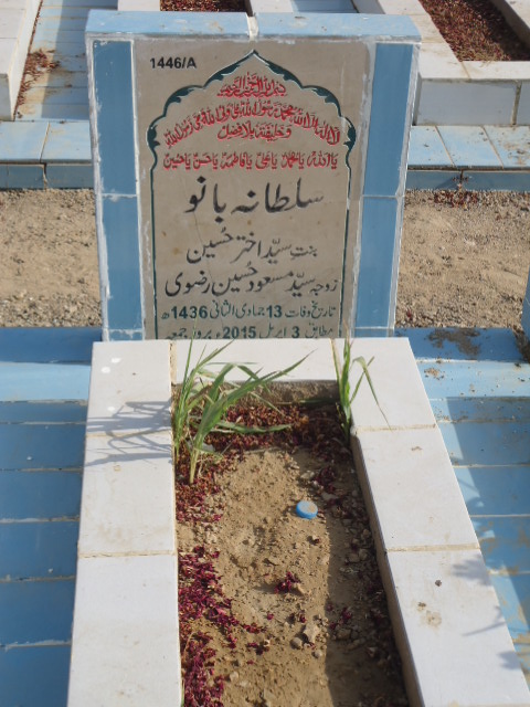 11446 – Sultana Bano