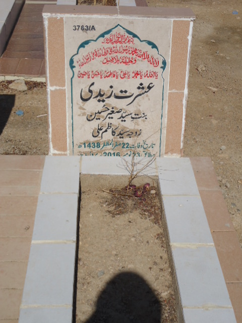 13763 – Ishrat Zaidi
