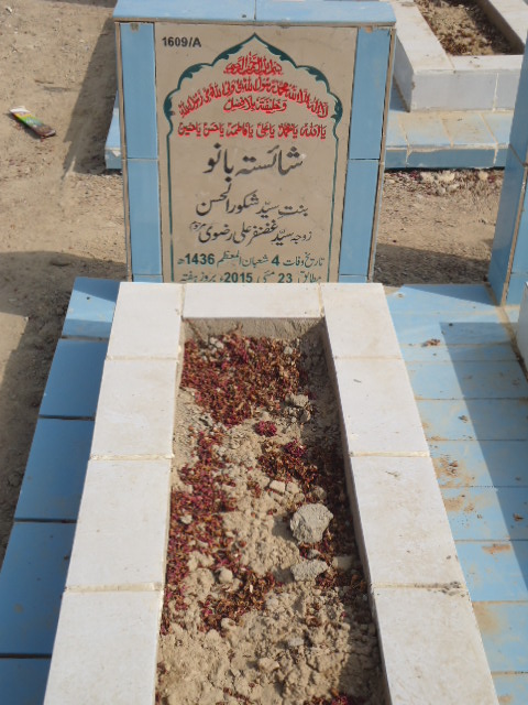 11609 – Shahista Bano